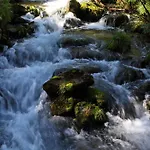 Almrösl Im Großarltal