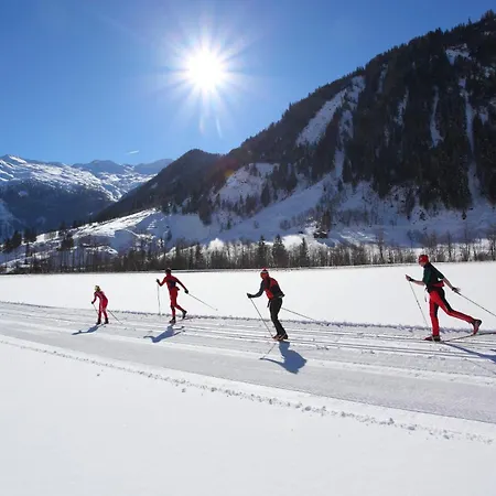 Almrösl Im Großarltal Hüttschlag