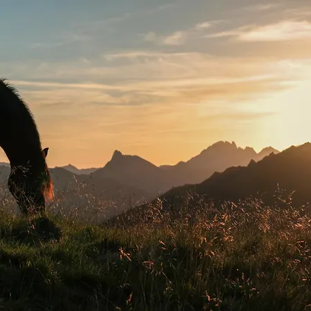 Almrösl Im Großarltal Hotel