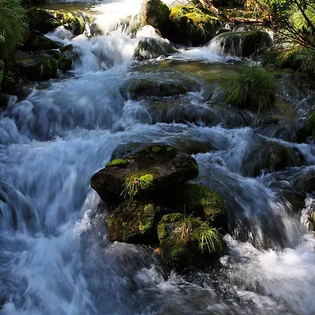Almrösl Im Großarltal