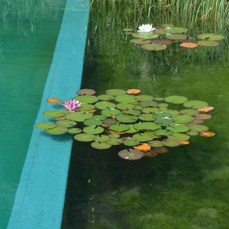 Almrösl Im Großarltal Hotel