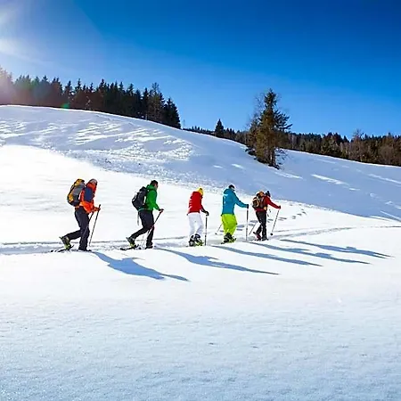 Hotel Almrösl Im Großarltal Hüttschlag